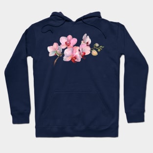 Orchid. Exclusive present. Gift for a friend. Funny art print Hoodie